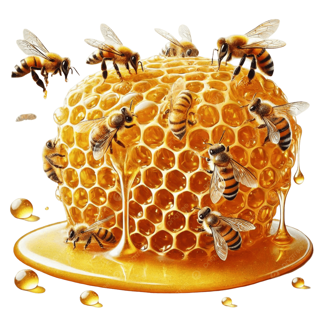 Premium raw organic honey in honeycomb with wooden honey dipper