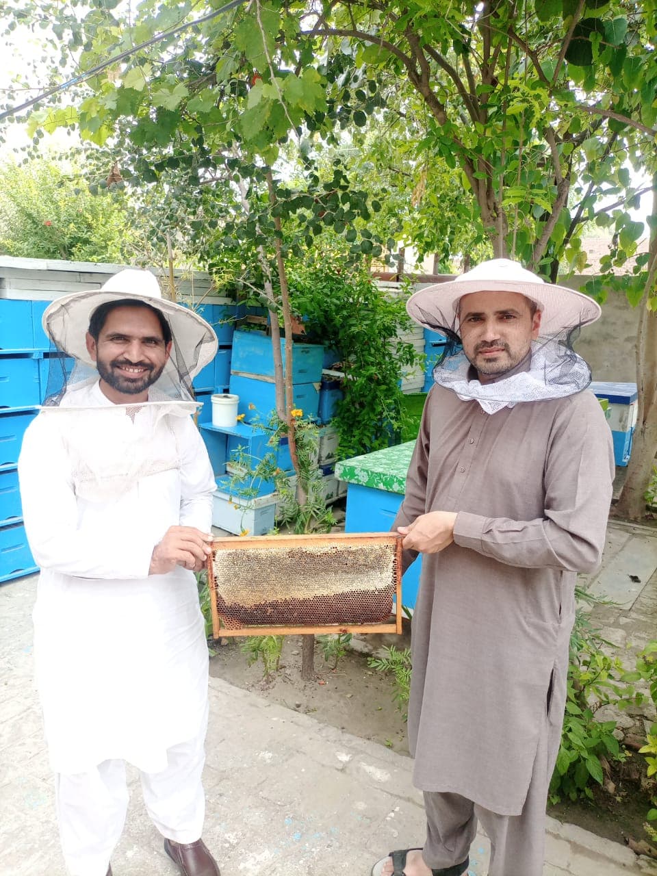 Harvesting process showing sustainable beekeeping and raw honey production - Step 2