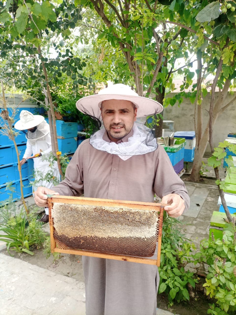 Harvesting process showing sustainable beekeeping and raw honey production - Step 1