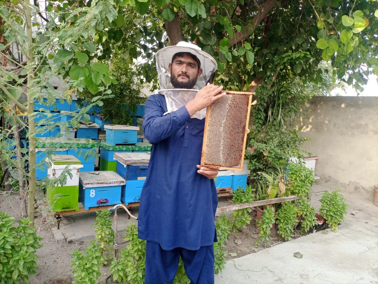 Processing & Packaging process showing sustainable beekeeping and raw honey production - Step 3